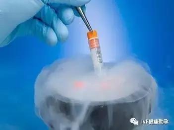 试管移植是鲜胚好还是冻胚好,鲜胚移植和冻胚移植的费用哪个高