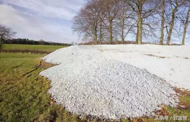 玉米抗倒伏用什么肥料最好,玉米倒伏能否施肥