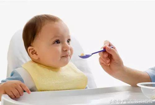 聪明宝宝吃饭,聪明宝宝吃虾吗