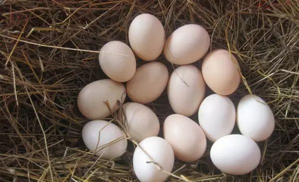 bb打完疫苗关注事项,宝妈刚生完宝宝关注事项