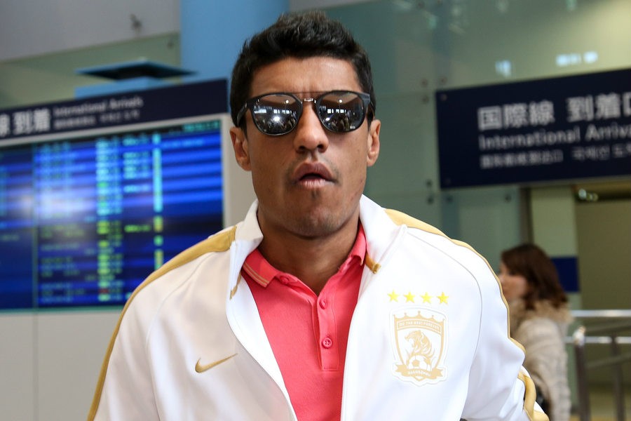 风雨交加，一路流浪，与命运抗争的*力暴**鸟永不沉沦