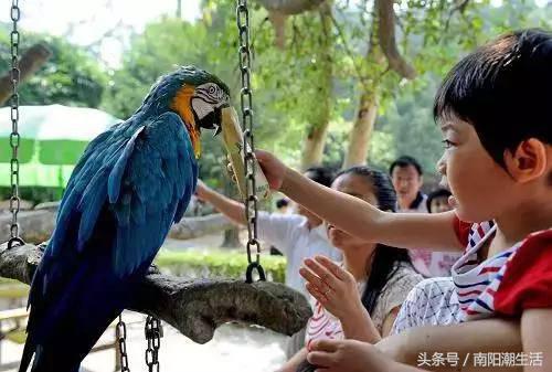 百鸟展门票,百鸟展门票早鸟票