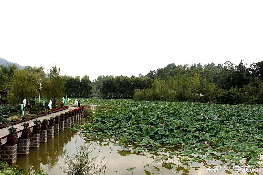 三幺台有哪些菜品,三幺台美食攻略