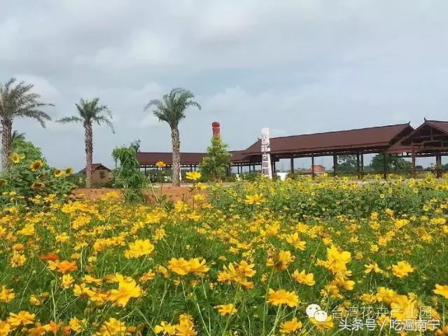 南宁十大最美农家乐推荐,南宁周边烧烤野炊前十排行