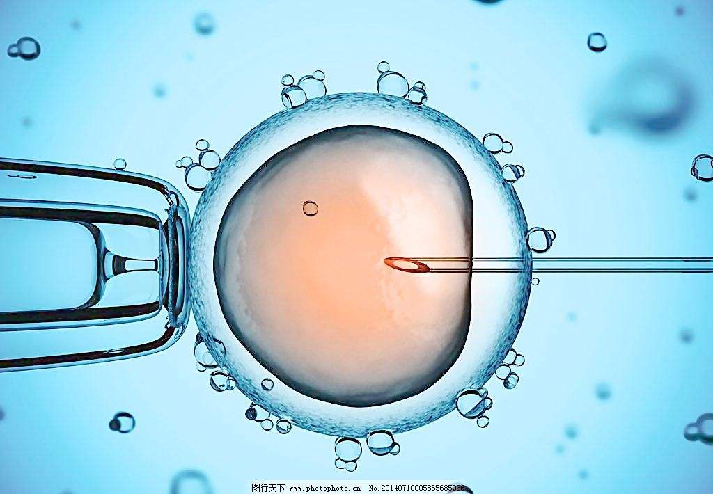 做试管婴儿的女性到底有多遭罪,女人做试管婴儿究竟有多痛苦