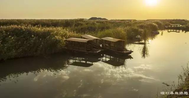 内蒙古数学水平,巴彦淖尔数学