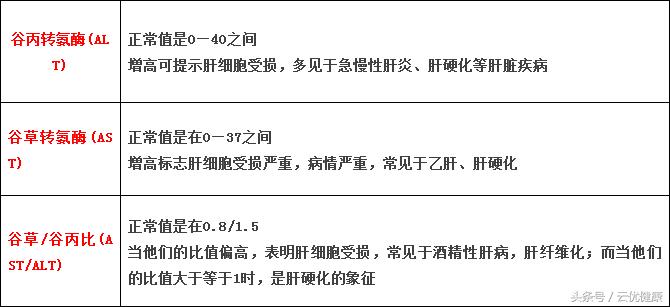 你的肝脏好不好,通过肝功能检查能知道肝的好坏吗