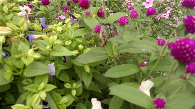 深圳青青世界图片,深圳青青世界校服