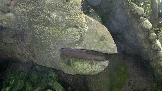 深圳青青世界图片,深圳青青世界校服