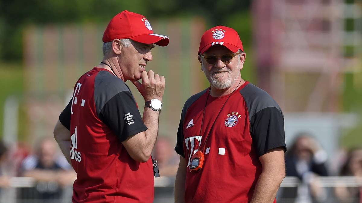 拜仁为什么伤退哈兰德,拜仁伤病情况