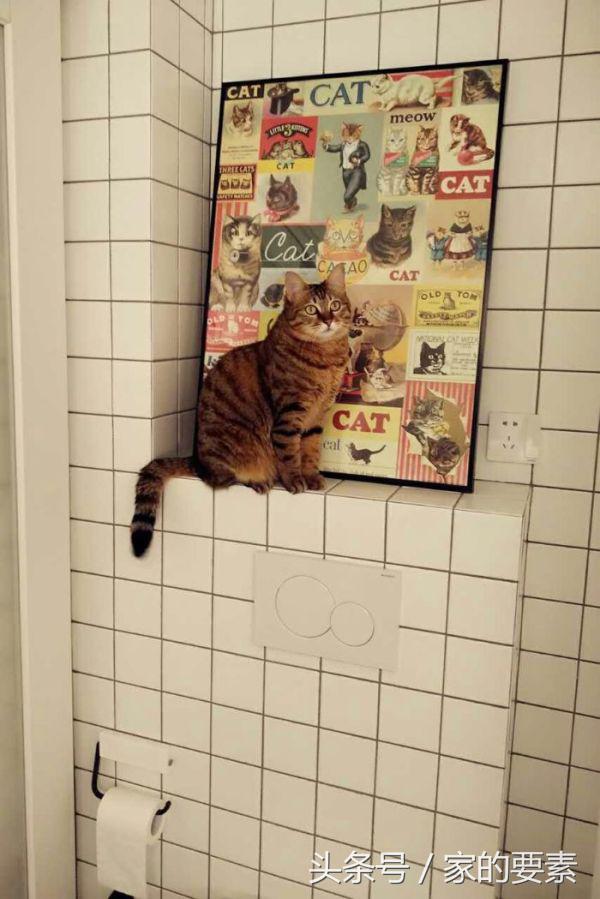 60平小家过出顶级的幸福感，唐长老和玉兔精的没羞没臊日常