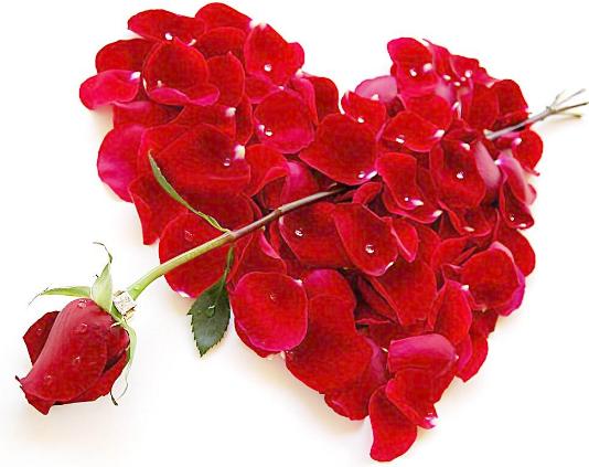 新买鞋子味道大怎么快速去除,新买鞋子刺鼻香味怎么去除