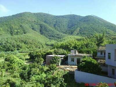 化州古八景怎么样,化州八景最新消息