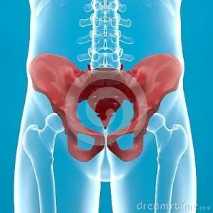 大笑咳嗽就会漏尿怎么回事,大笑打喷嚏漏尿是怎么回事