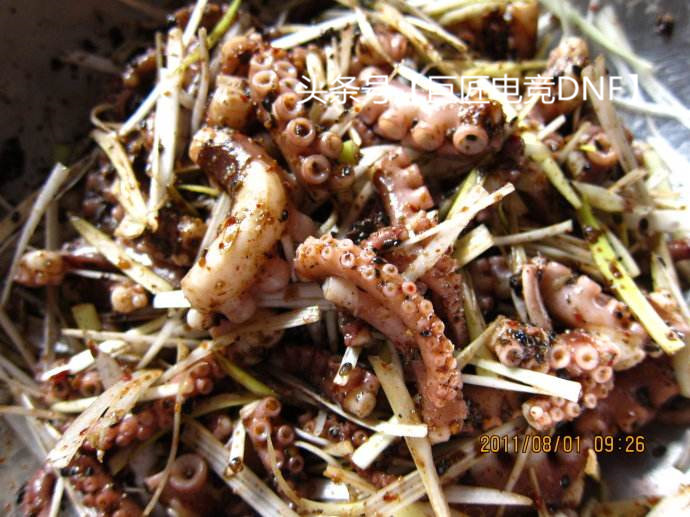 dnf最悲惨的使徒安图恩,dnf12个使徒实力排名