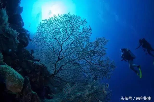 广西最值得去的5大景点,广西20元景点