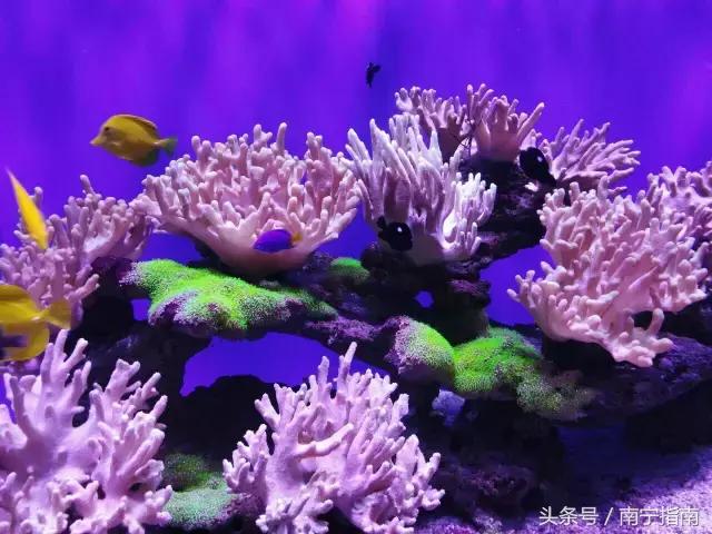 广西最值得去的5大景点,广西20元景点