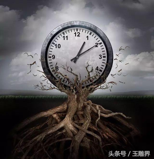 除了她！这是我见过最宝贵的，没有之一