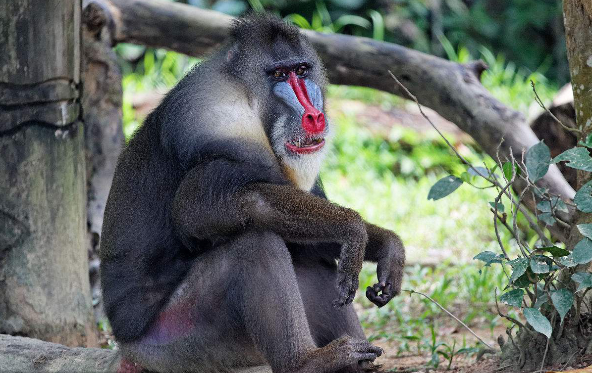 西游记吴承恩想说明什么,西游记吴承恩的目的到底是啥