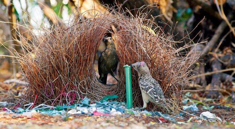 你以为的感情稳定,你以为的爱情实际上是骗局