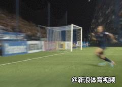 伊布足球场霸气集锦,盘点伊布在足球场上20大震撼破门