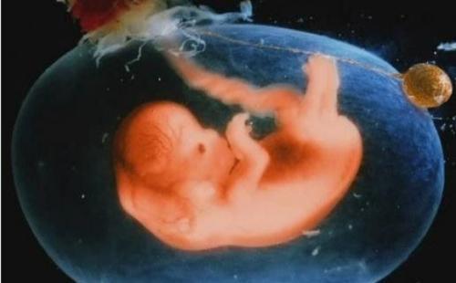 孕期孕妇有可能出现的症状有哪些,怀孕50天孕妇的症状有哪些