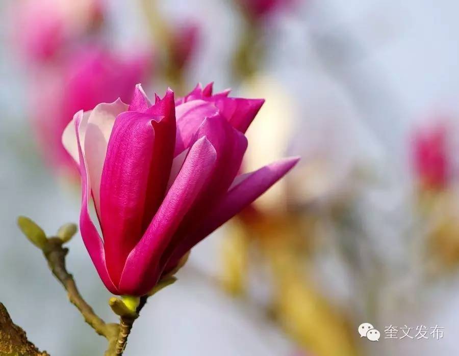 小手牵大手一同去郊游,小手拉着大手一起郊游