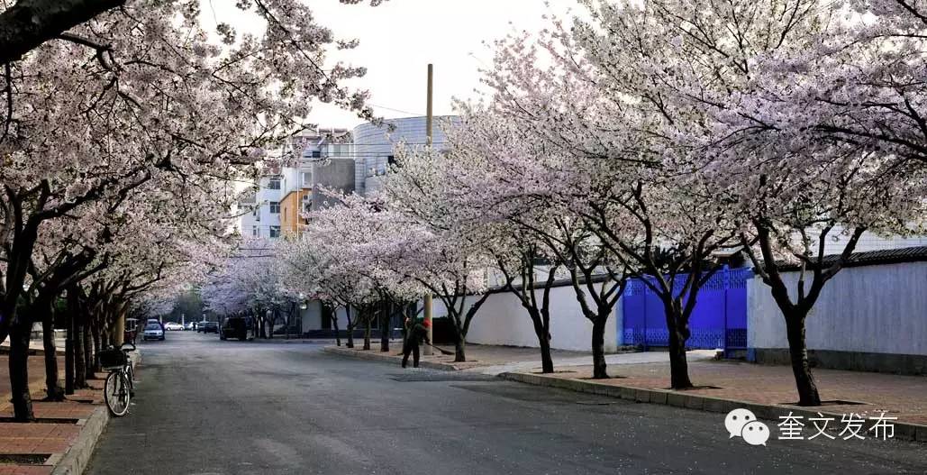 小手牵大手一同去郊游,小手拉着大手一起郊游