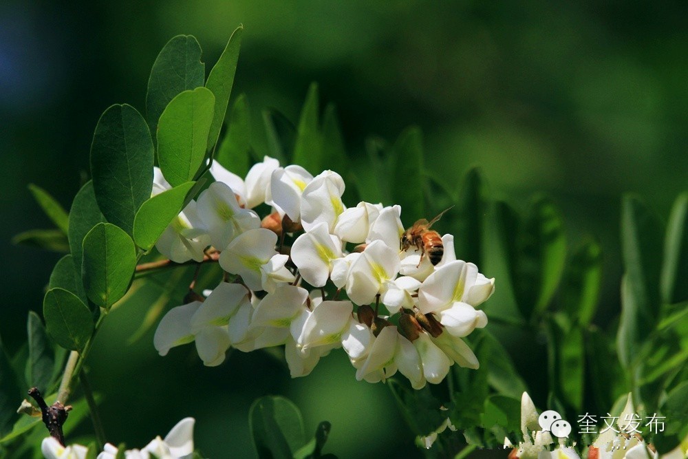 小手牵大手一同去郊游,小手拉着大手一起郊游