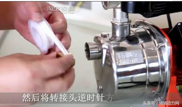 奎哥养猪26期,奎哥养猪73期