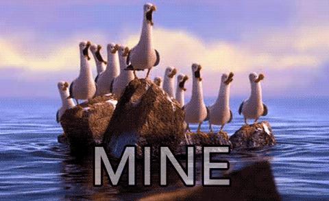 澳洲和新西兰最新消息,澳洲和新西兰为什么分成两个国家