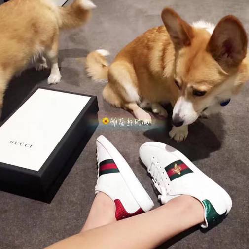 古琦印花小白鞋,古琦小白鞋同款