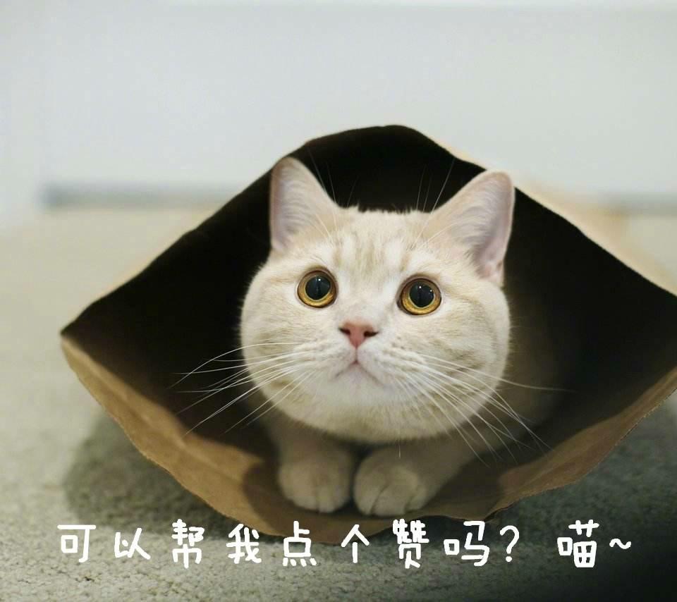 来亳州需要关注什么,亳州特产适合携带