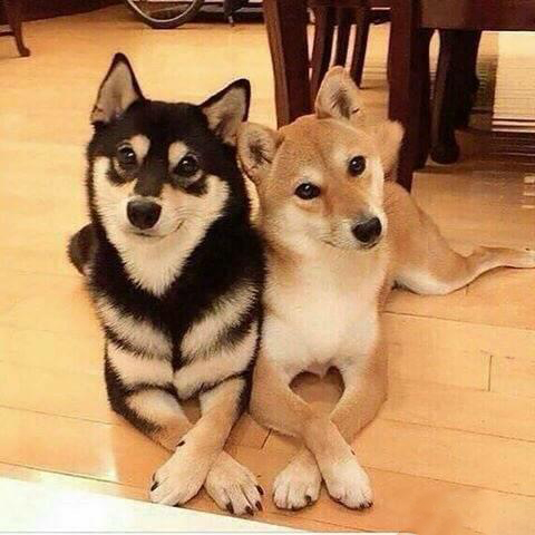 来亳州需要关注什么,亳州特产适合携带