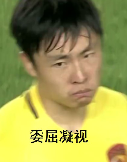 梅西和勒夫表情包,勒夫世界杯表情包