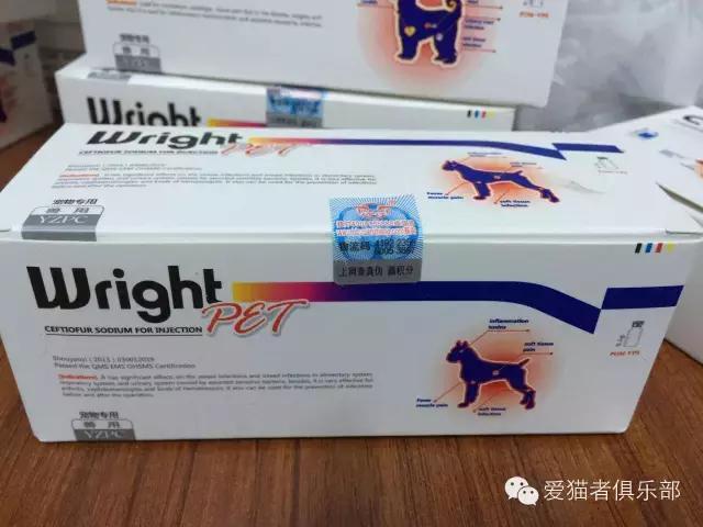 猫咪可以用的人类药品种类,猫咪应激反应常用药