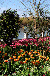 云南丽江香格里拉大理六日游,云南丽江大理香格里拉六日游