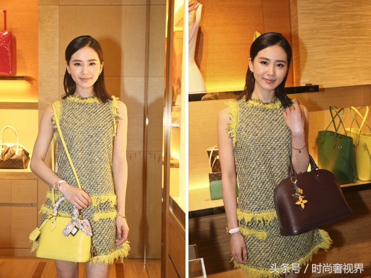 lv限量版包包范冰冰同款,lv四款圆饼包包