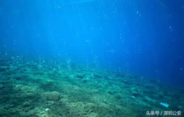 失踪潜水员图像在水下被发现,失踪4天的潜水员被发现