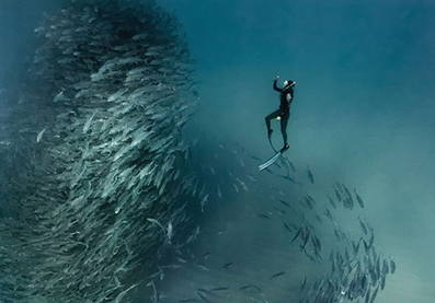 家庭星座组合白羊巨蟹,吴世勋彭于晏宋威龙白羊座