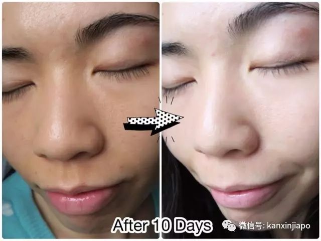 澳洲水晶番茄,新加坡水晶白番茄