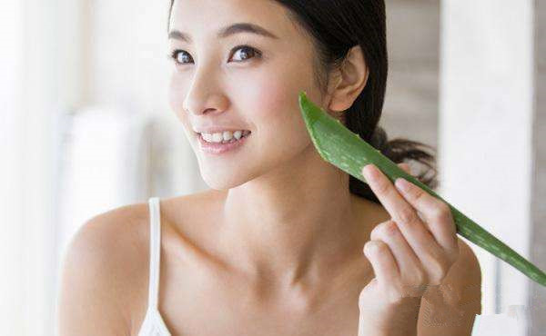 市面上芦荟胶没有效果？不如用生芦荟来敷脸，5个方法来自制面膜