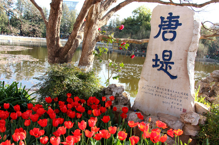 云南丽江香格里拉大理六日游,云南丽江大理香格里拉六日游