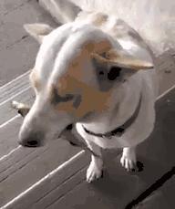 向男友要口红,向男朋友要口红