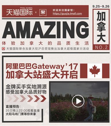 阿里在国际市场实力怎么样,阿里在世界上多厉害