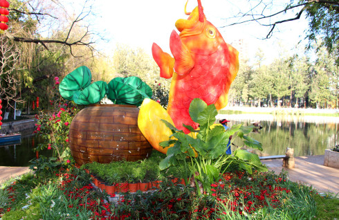 云南丽江香格里拉大理六日游,云南丽江大理香格里拉六日游