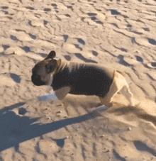 速度100刹车方向盘抖怎么回事,汽车100码刹车方向盘抖