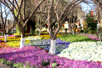 云南丽江香格里拉大理六日游,云南丽江大理香格里拉六日游