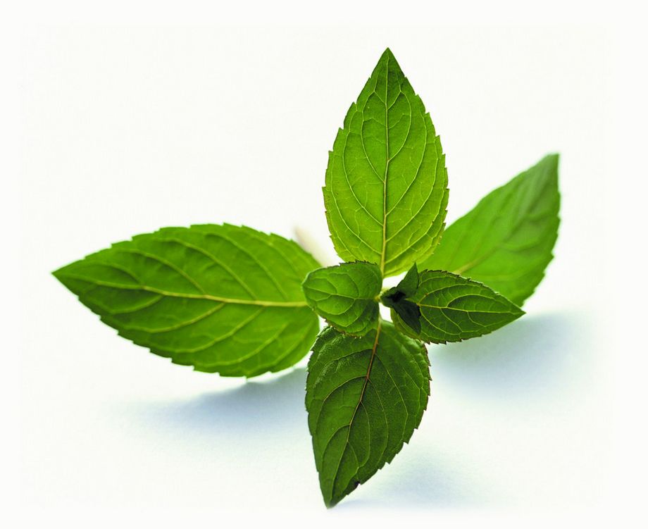 孕妇禁忌吃什么会导致流产,孕妇怀孕需要忌调料嘛