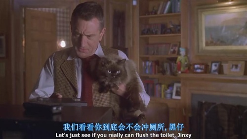 十部顶级喵星人动画片,猫咪动画片视频大全